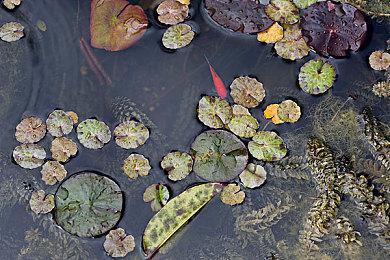 游戏《海绵宝宝：宇宙摇摆》获原版动画配音支持